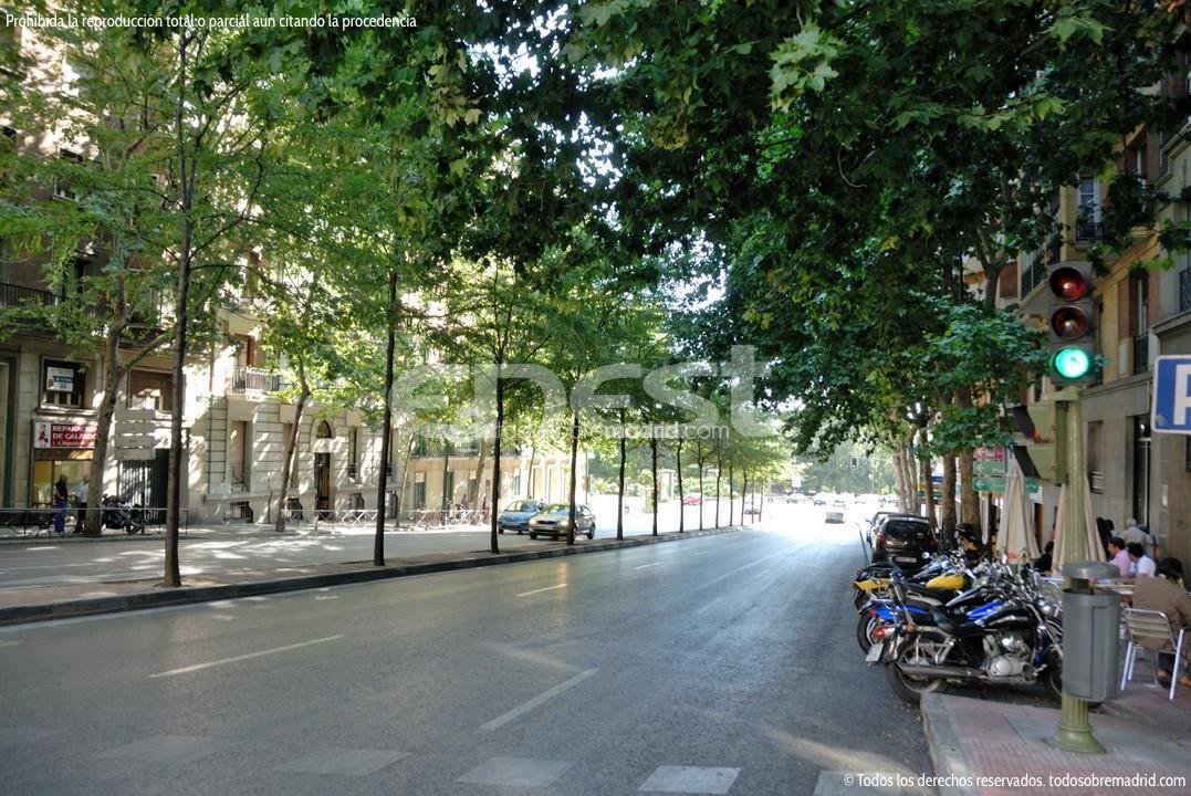 Apartment in Moncloa-Aravaca, Madrid, Spain 5 - 18358759