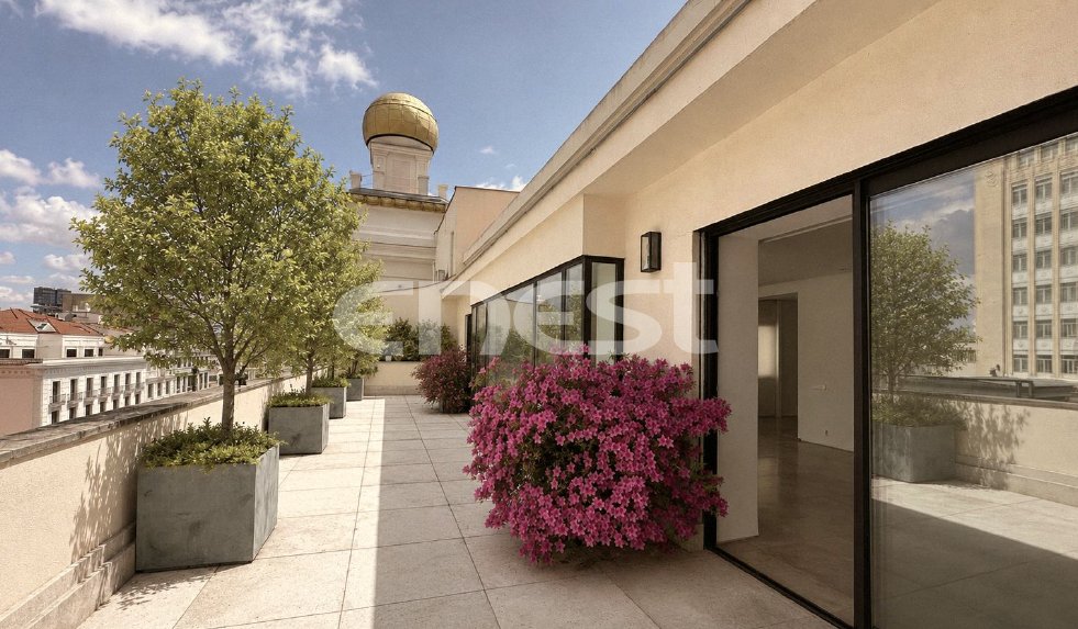 Penthouse in Centro, Madrid, Spain 1 - 18358144