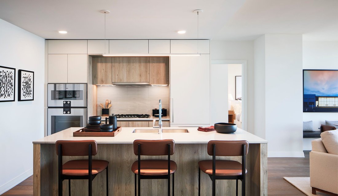 House in Chicago, Illinois, United States 4 - 18359091