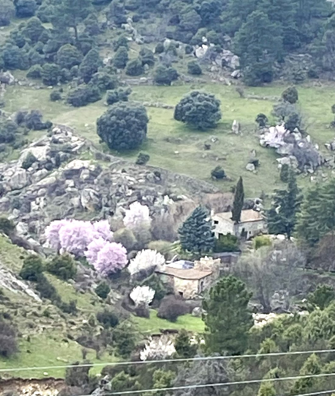 Finca in Navarredonda y San Mames, Comunidad de Madrid, Spain 3 - 18358365