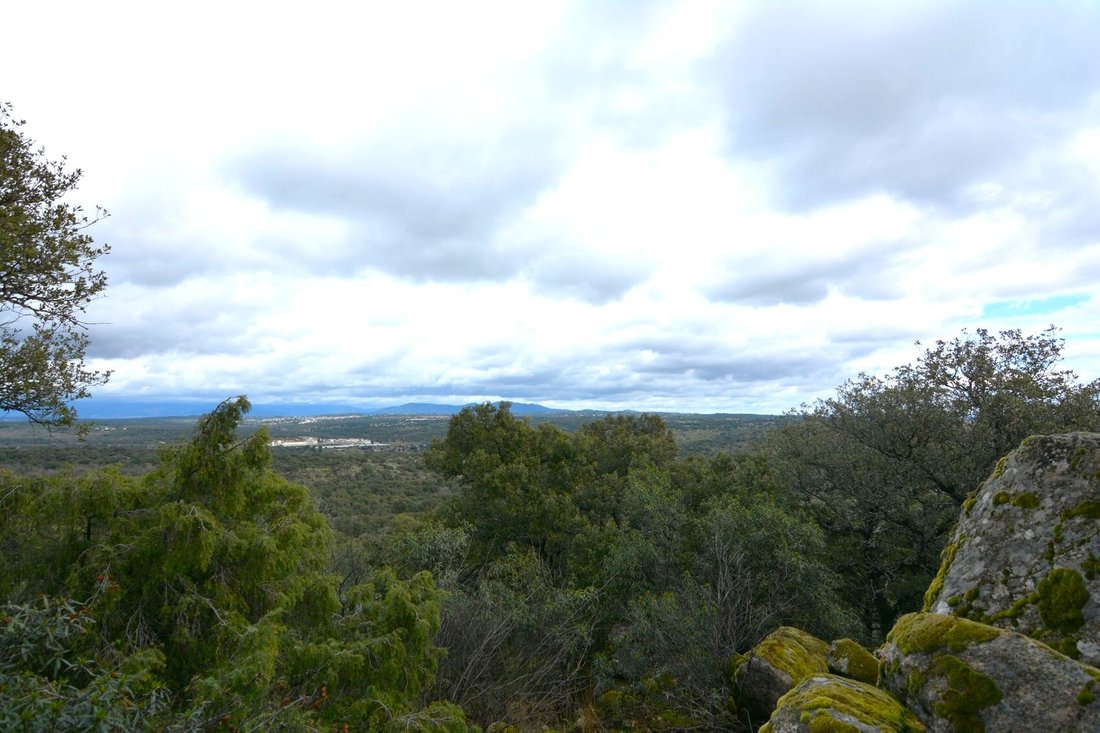 Finca a Valdemorillo, Madrid, Spagna 5 - 18358092