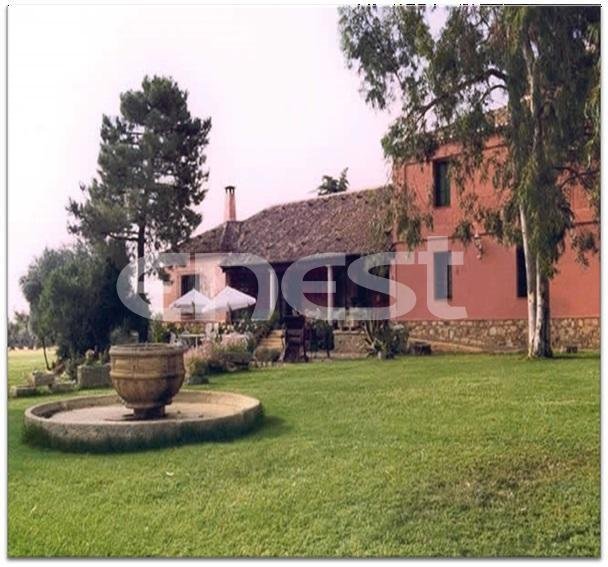 Finca in Horcajo de los Montes, Castile-La Mancha, Spain 1 - 18357538
