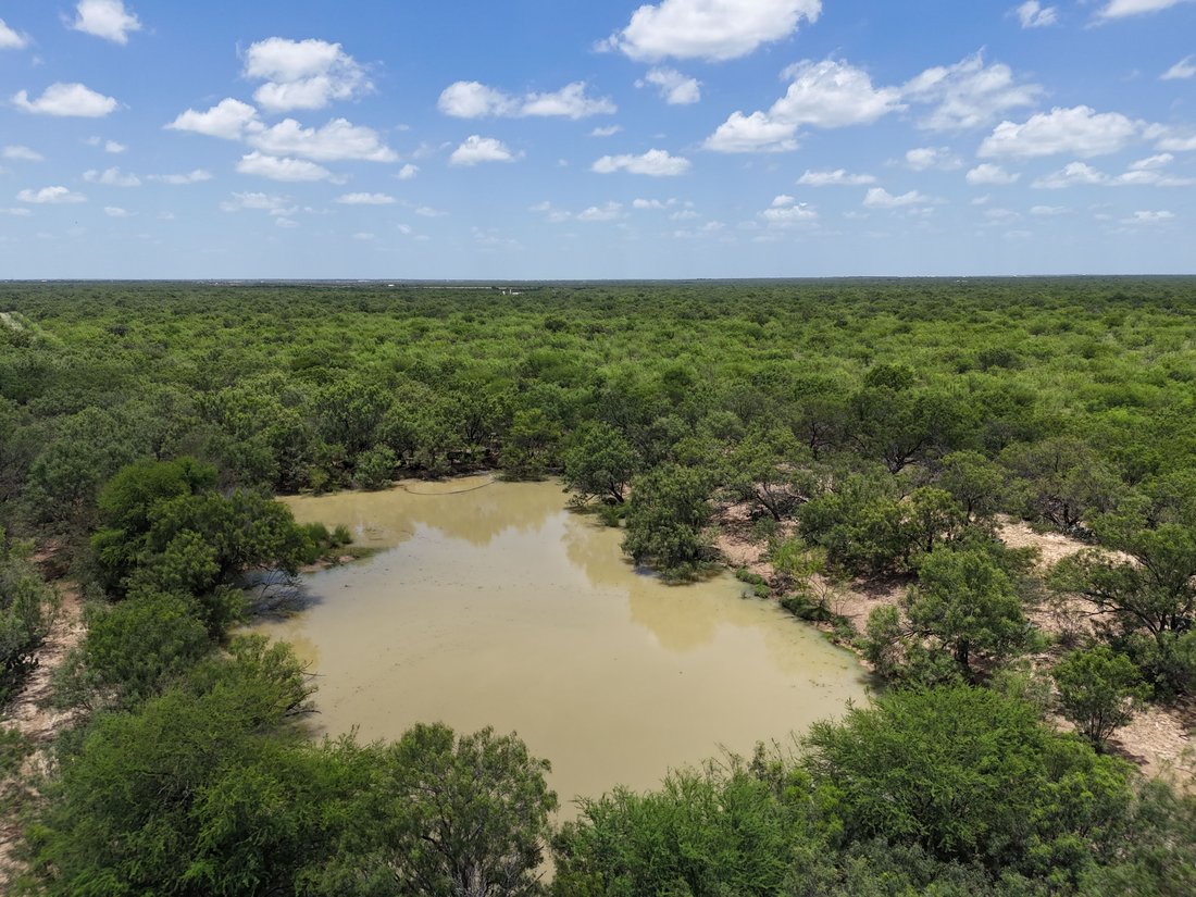 Farm Ranch in Asherton, Texas, United States 3 - 18359126