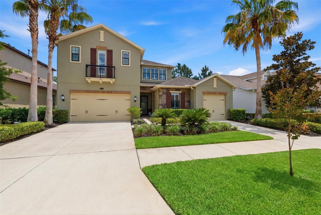 House in Tampa, Florida, United States 3 - 18356999