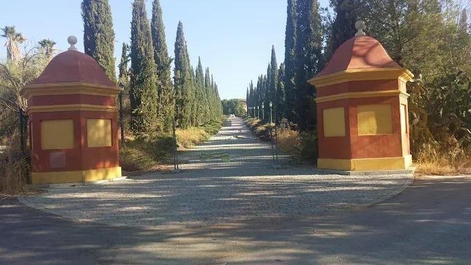 Estate in Alcala de Guadaira, Andalusia, Spain 4 - 18357943