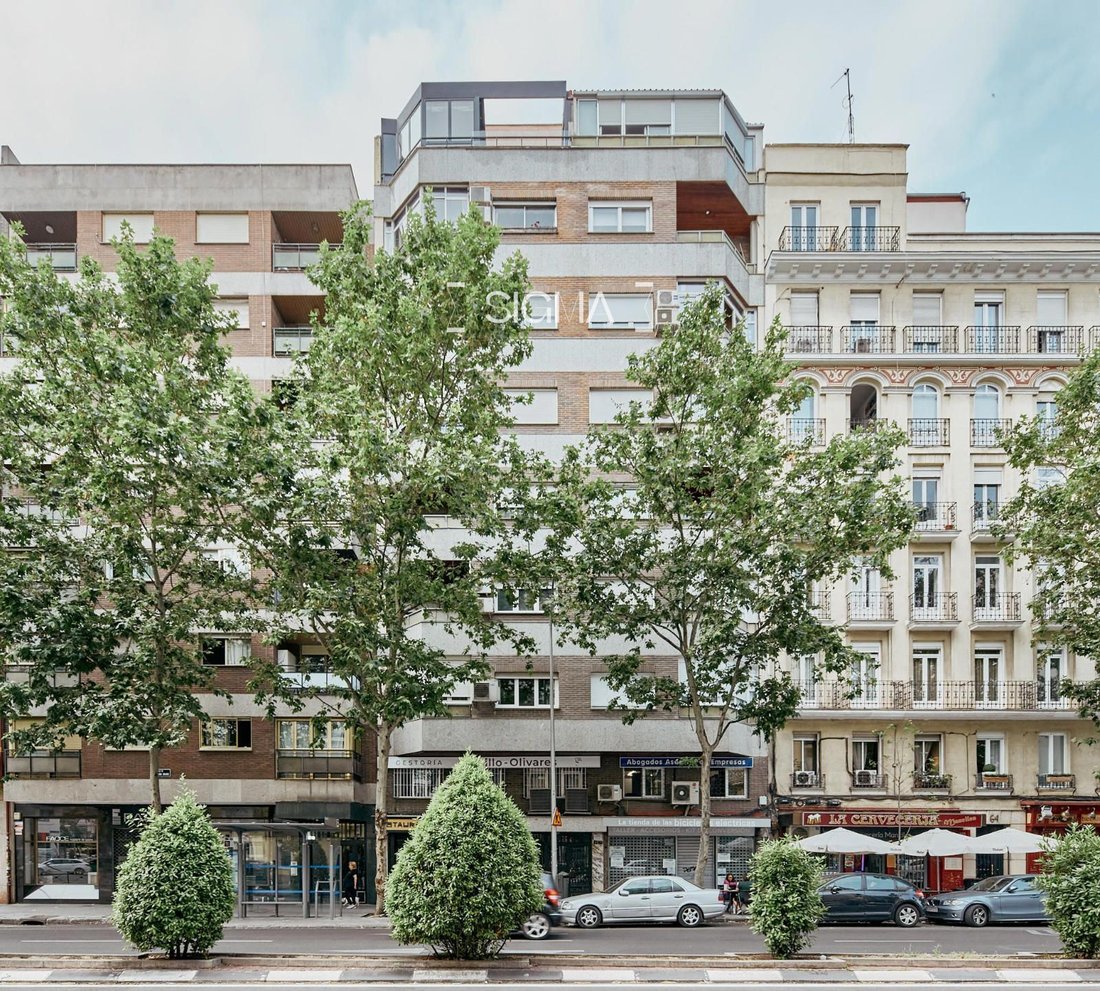 Apartment in Barrio Salamanca, Madrid, Spain 5 - 18358293
