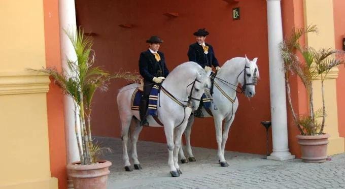 Estate in Alcala de Guadaira, Andalusia, Spain 5 - 18357943