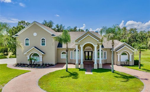 House in Lithia, Florida, United States 1
