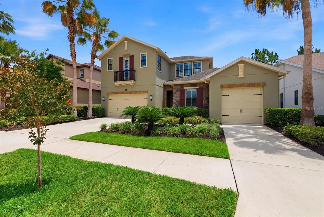 House in Tampa, Florida, United States 1 - 18356999