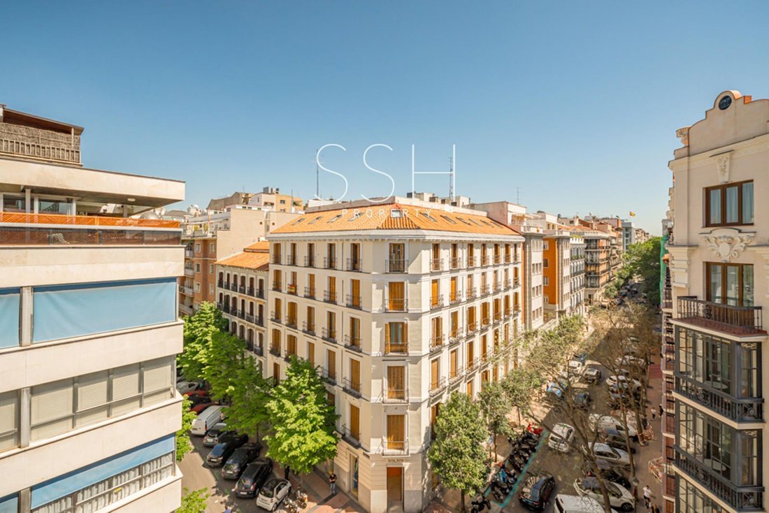 Apartment in Barrio Salamanca, Madrid, Spain 1 - 18357813