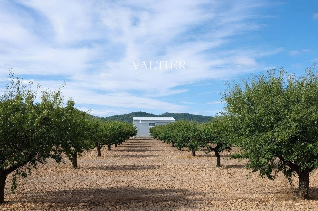 Finca in Henarejos, Castile-La Mancha, Spain 1 - 18357412