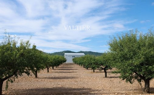 Finca à Henarejos, Castille-La Manche, Espagne 1