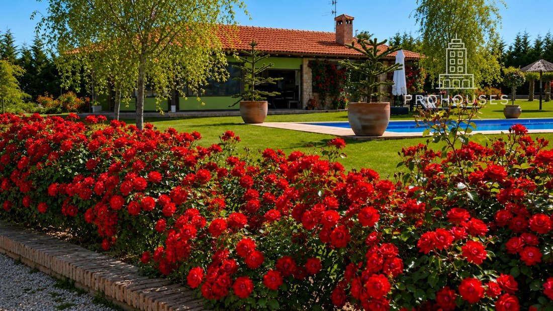 Finca in Fuentelencina, Castile-La Mancha, Spain 4 - 18357210