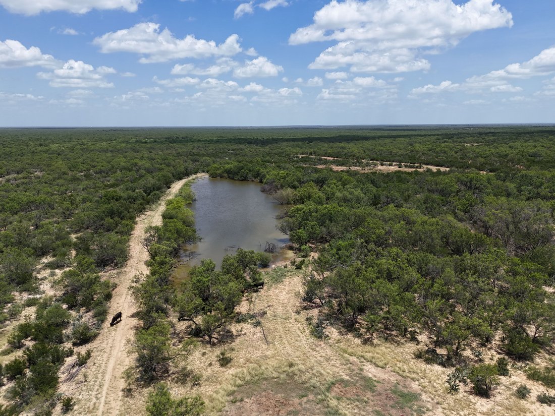 Farm Ranch in Asherton, Texas, United States 1 - 18359126