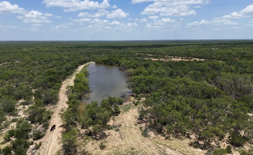 Farm Ranch in Asherton, Texas, United States 1