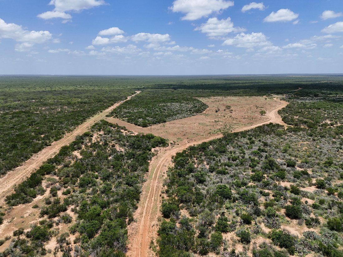 Farm Ranch in Asherton, Texas, United States 5 - 18359126