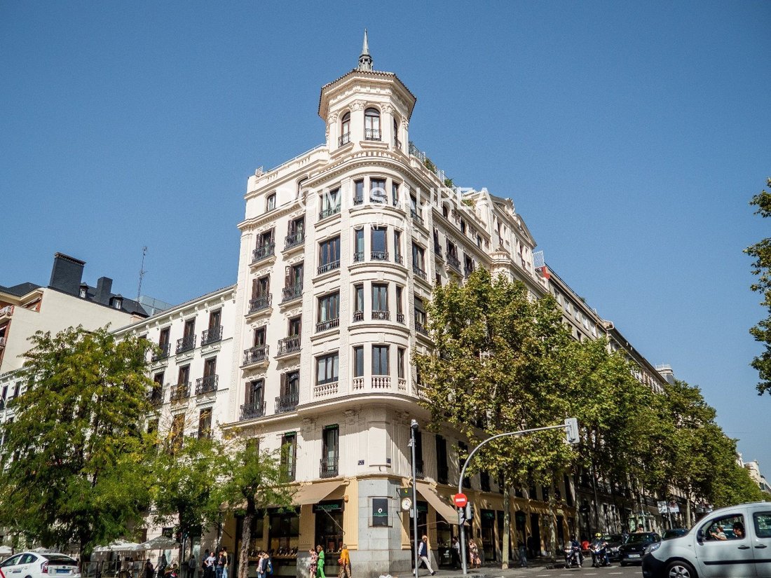 Apartment in Barrio Salamanca, Madrid, Spain 5 - 18359765