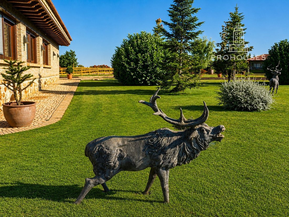 Finca in Fuentelencina, Castile-La Mancha, Spain 3 - 18357210