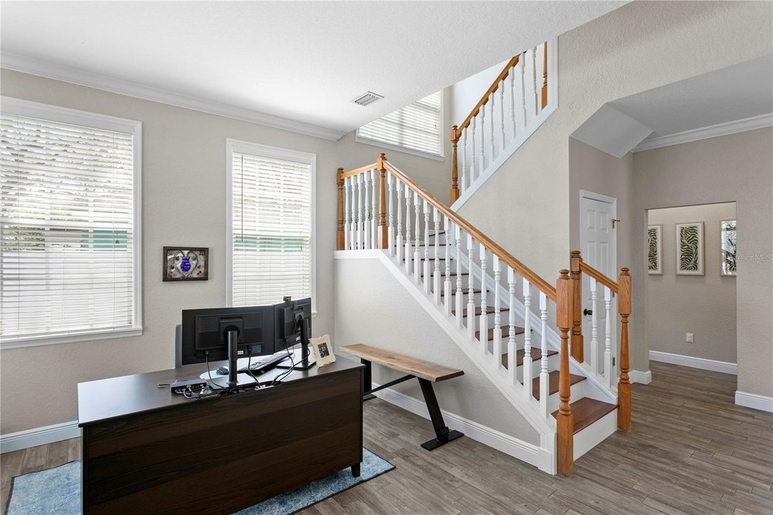 House in Tampa, Florida, United States 4 - 18356979