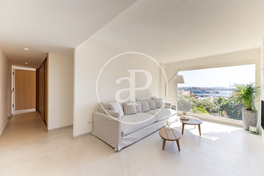 Apartment in Palma, Balearic Islands, Spain 3 - 17354864