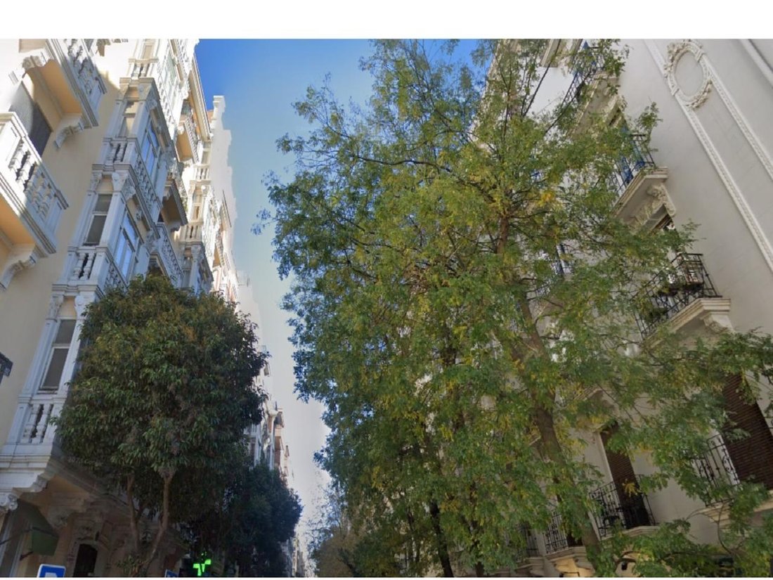 Apartment in Barrio Salamanca, Madrid, Spain 1 - 18357952