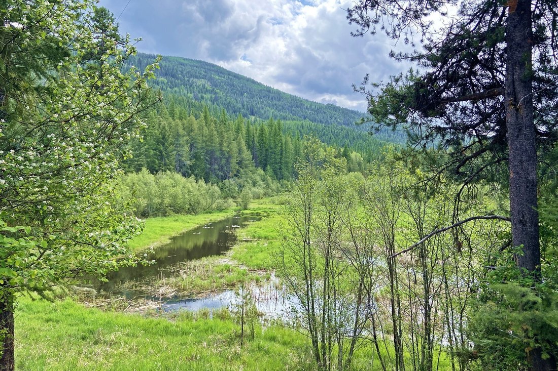 Land in Bonners Ferry, Idaho, United States 5 - 18359080