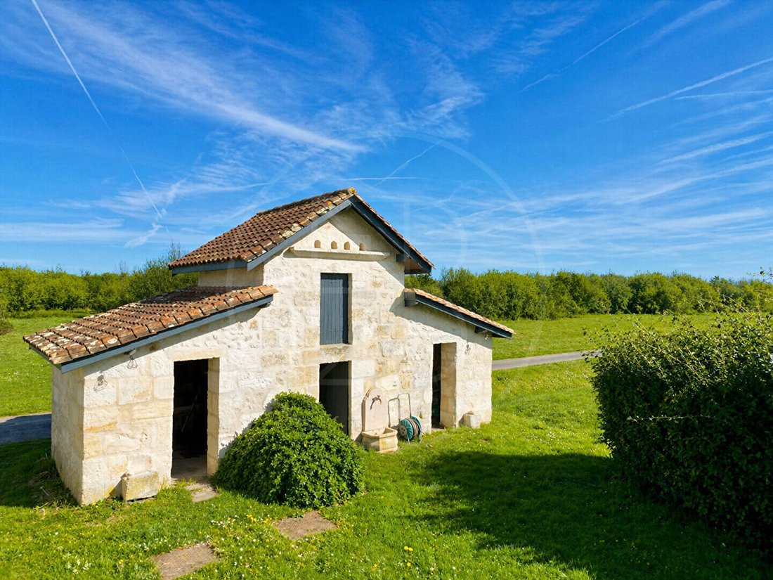 Villa in Libourne, Nouvelle-Aquitaine, France 3 - 18358314