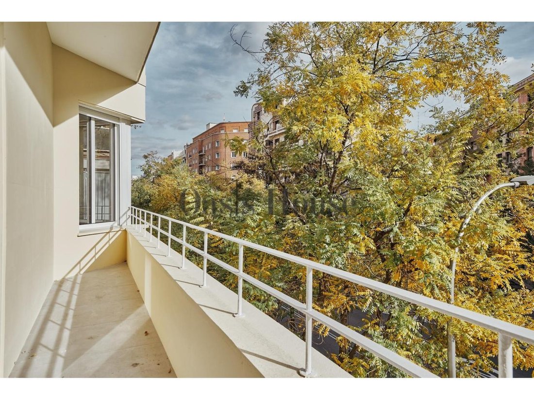 Apartment in Barrio Salamanca, Madrid, Spain 3 - 18359204