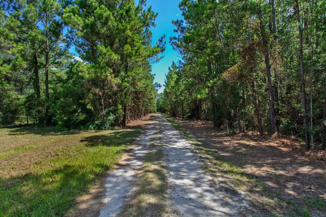 House in Plantersville, Texas, United States 4 - 18358042
