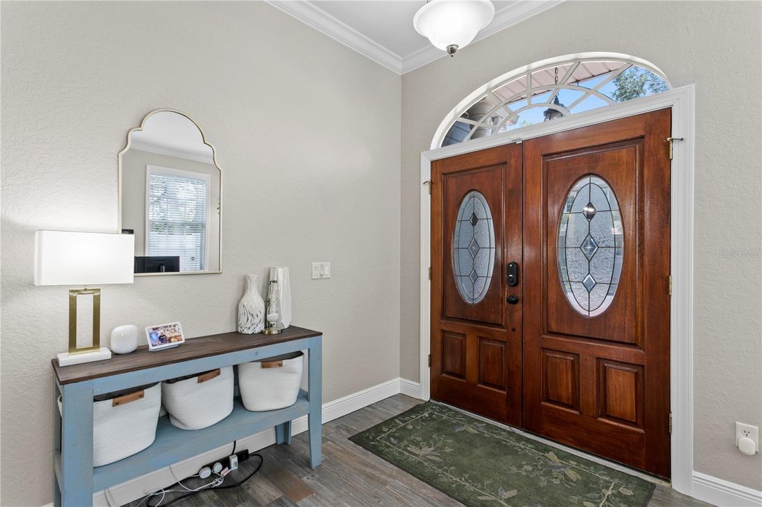 House in Tampa, Florida, United States 3 - 18356979