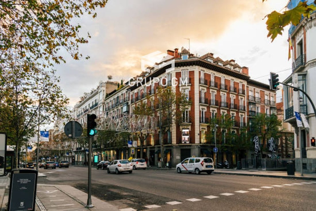 Apartment in Barrio Salamanca, Madrid, Spain 2 - 18359486