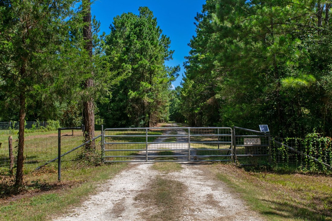 House in Plantersville, Texas, United States 3 - 18358042