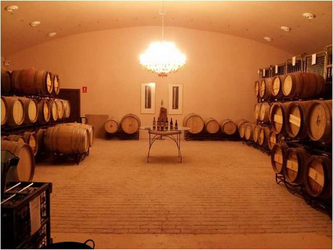 Finca in Ronda, Andalusia, Spain 5 - 18357174