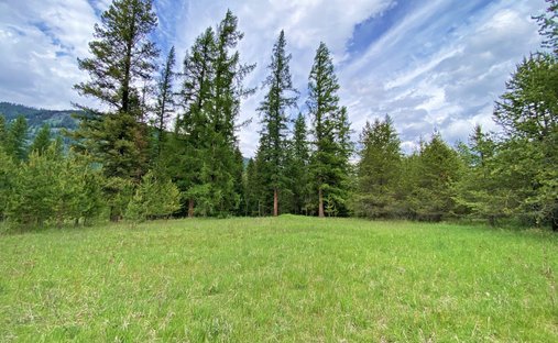 Terrain à Bonners Ferry, Idaho, États-Unis 1
