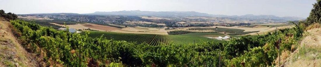Finca in Ronda, Andalusia, Spain 1 - 18357174