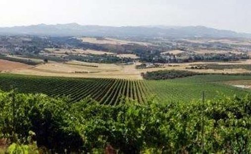Finca in Ronda, Andalusien, Spanien 1