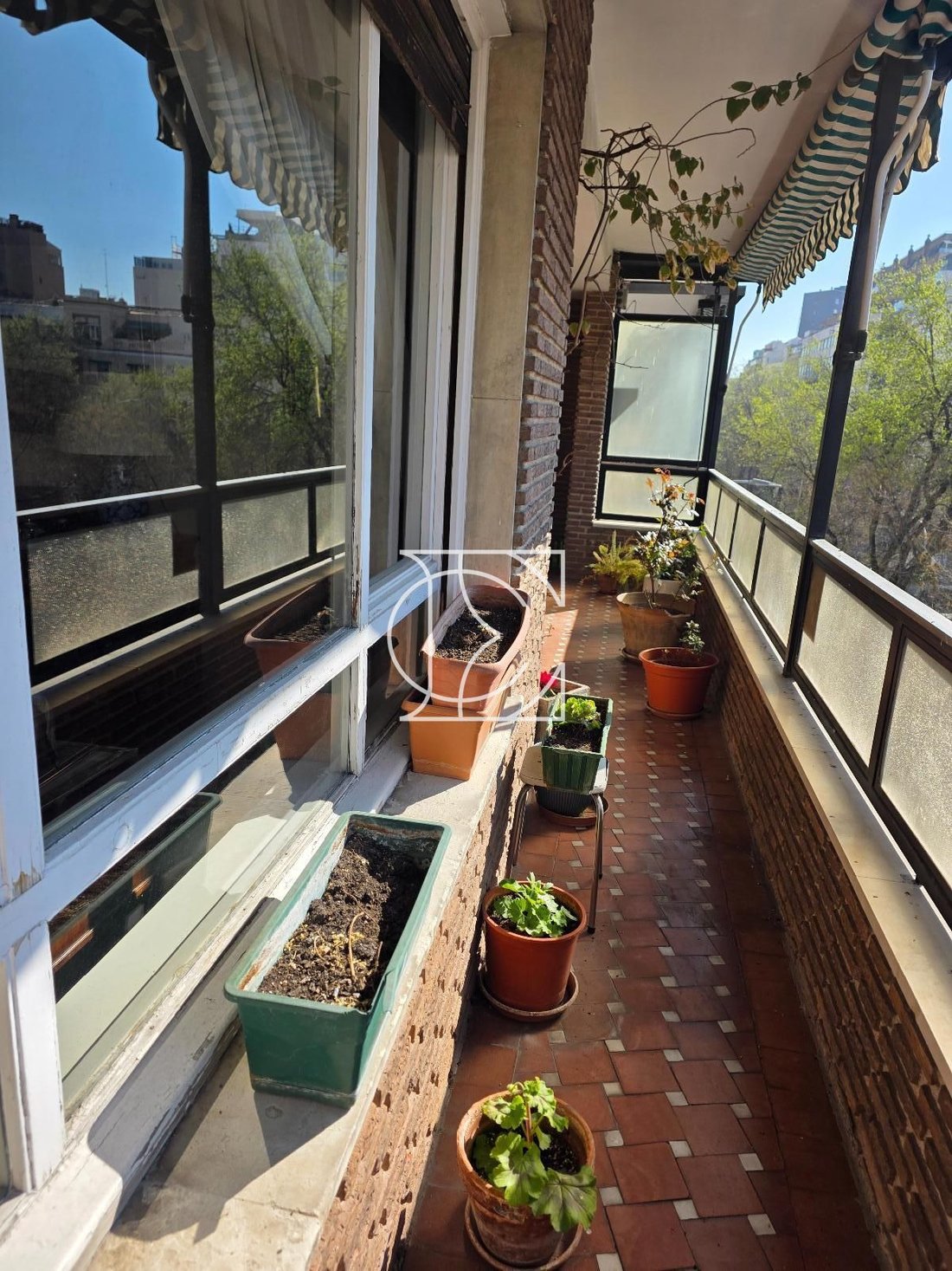 Apartment in Barrio Salamanca, Madrid, Spain 3 - 18358688