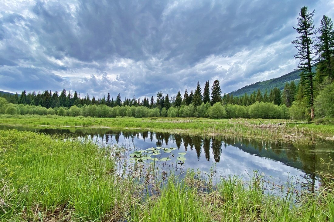 Land in Bonners Ferry, Idaho, United States 2 - 18359080