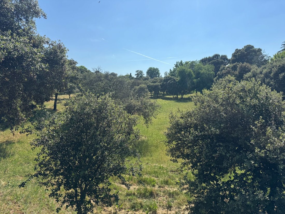 House in La Moraleja, Alcobendas, Comunidad de Madrid 3 - 18358117
