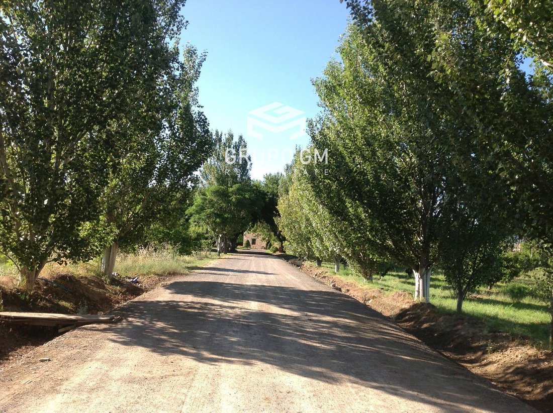 Finca in Logrono, La Rioja, Spain 2 - 18357417