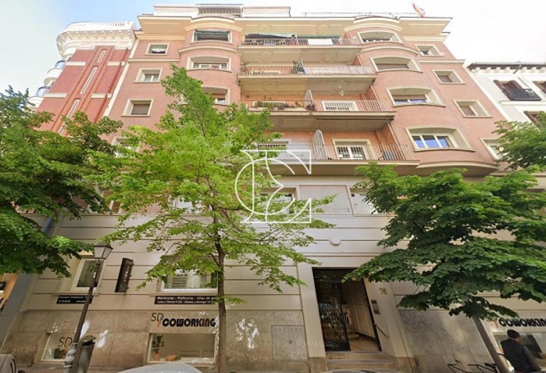Apartment in Barrio Salamanca, Madrid, Spain 1 - 18357687