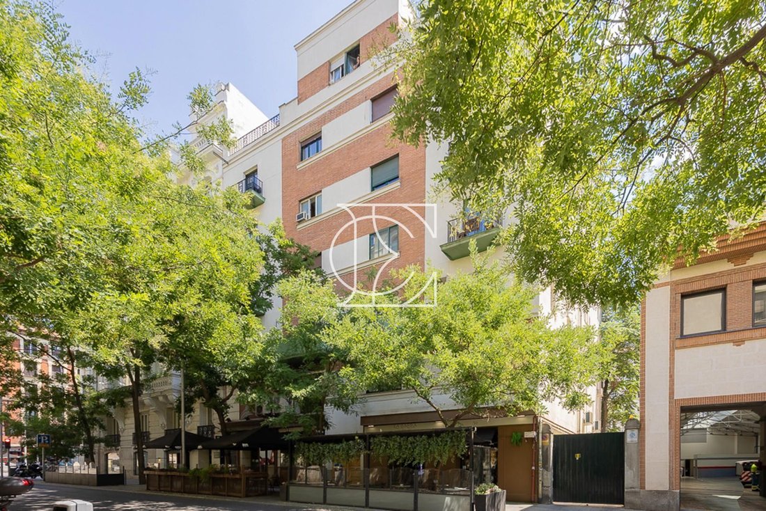 Apartment in Barrio Salamanca, Madrid, Spain 2 - 18358201
