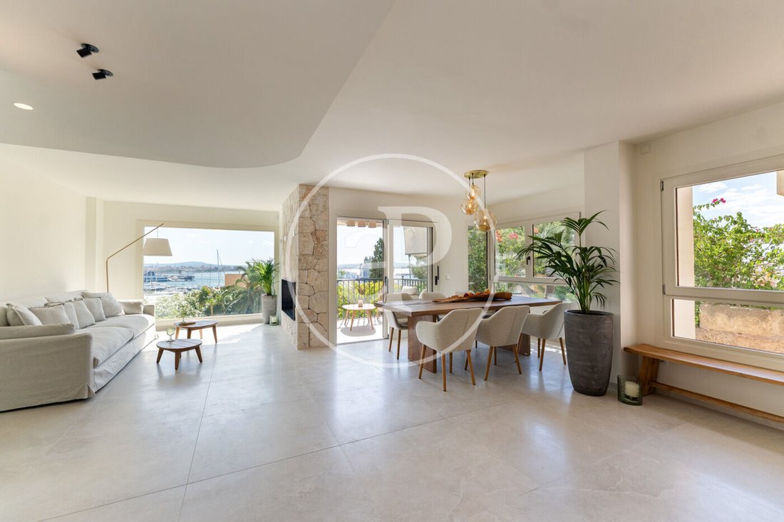 Apartment in Palma, Balearic Islands, Spain 2 - 17354864
