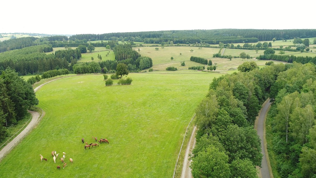 Farm Ranch in Amel, Wallonia, Belgium 4 - 18356934