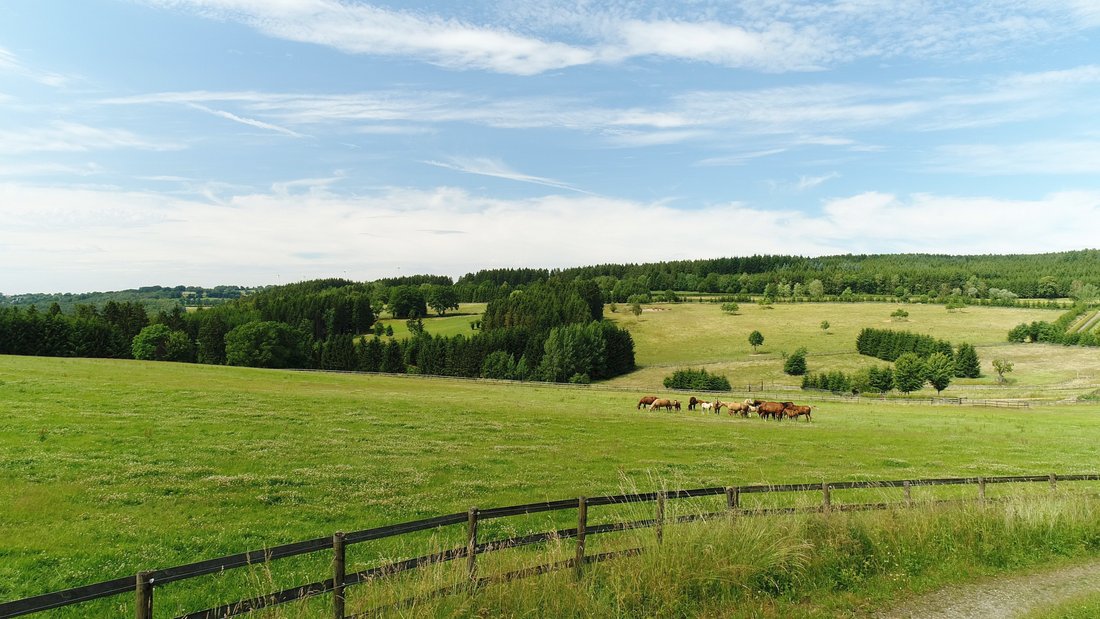 Farm Ranch in Amel, Wallonia, Belgium 5 - 18356934