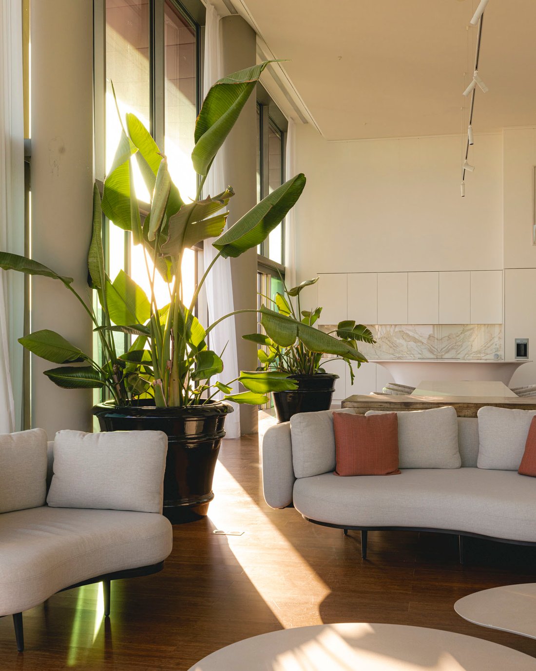 Penthouse in Sant Martí, Barcelona, Spanien 3 - 18358664