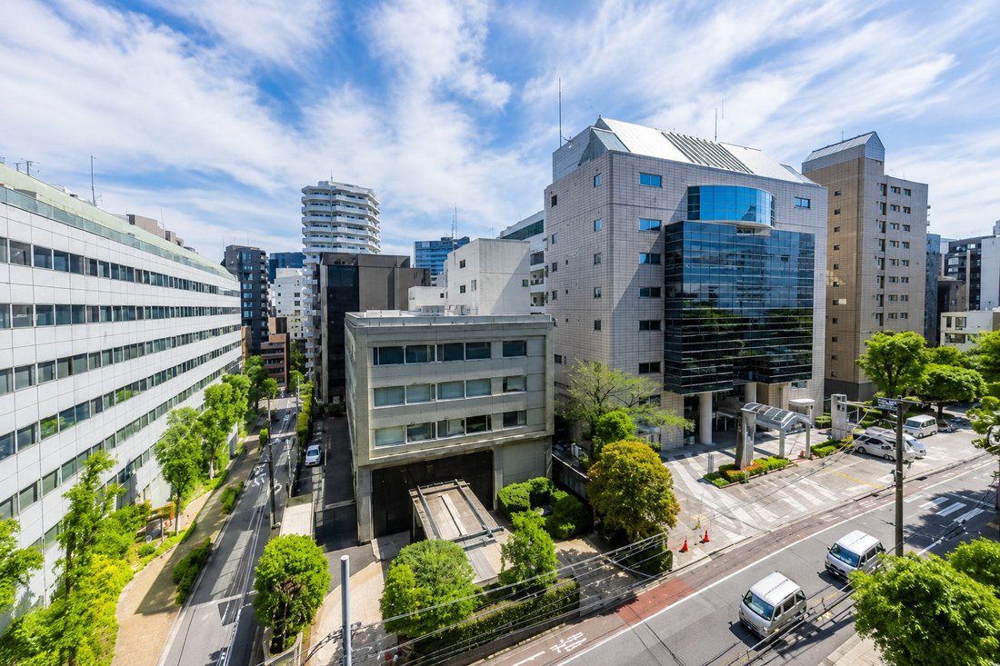 Apartment in Chiyoda City, Tokyo, Japan 5 - 18360085