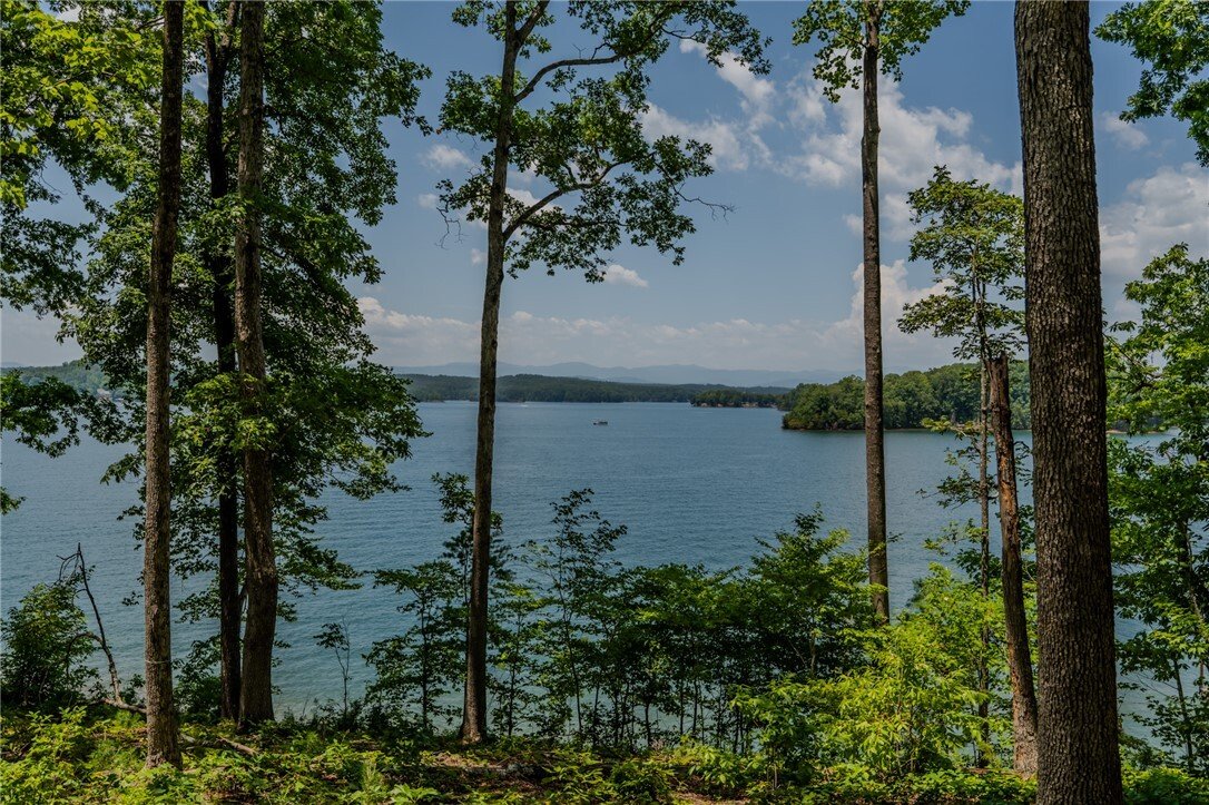 Land in Six Mile, South Carolina, United States 2 - 18316938