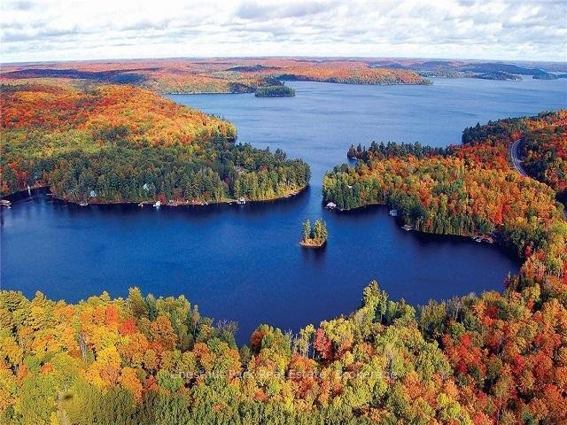 Lake of Bays, Ontario, Canada 4 - 18360016