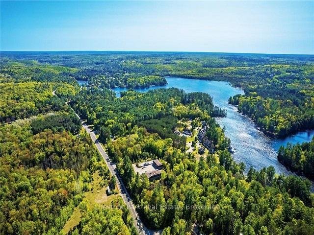 Land in Lake of Bays, Ontario, Canada 3 - 18360025
